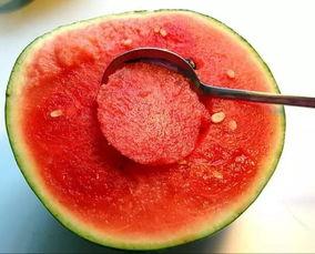 灵溪晚上吃瓜视频,一场别开生面的吃瓜盛宴