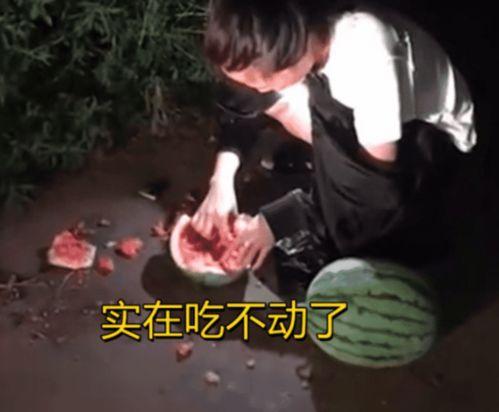 偷瓜吃的视频大全播放,欢乐搞笑瞬间大盘点