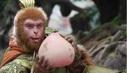 孙悟空博主吃瓜视频大全,笑料百出，精彩纷呈！