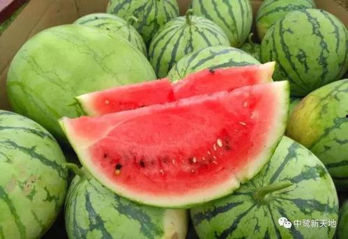 西昌今日吃瓜事件视频,一场网络热议背后的真相揭秘