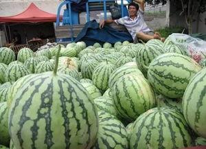 吃瓜群众崩溃视频,视频揭露社会百态