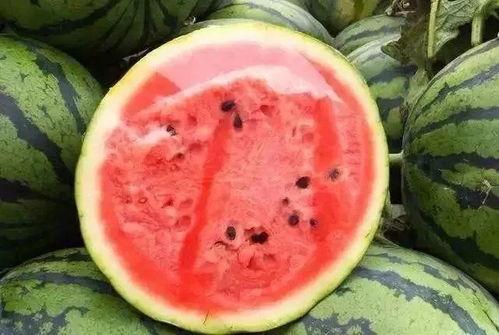 吃瓜保留视频在哪里看,吃瓜保留视频的观看秘籍