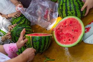 实时吃瓜视频在哪里看到的,实时吃瓜视频的神秘来源